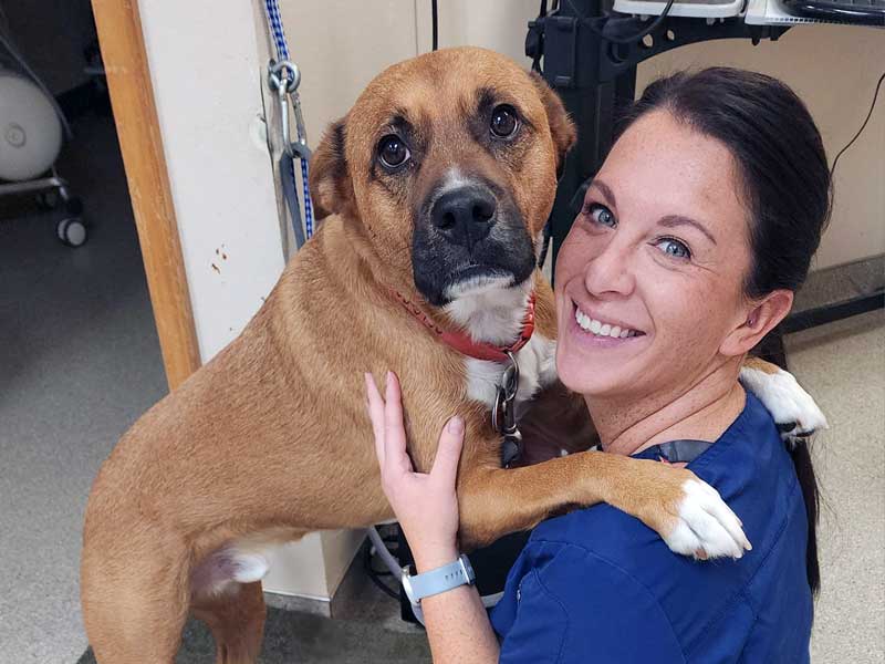 Veterinary Jobs in Liberty Lake