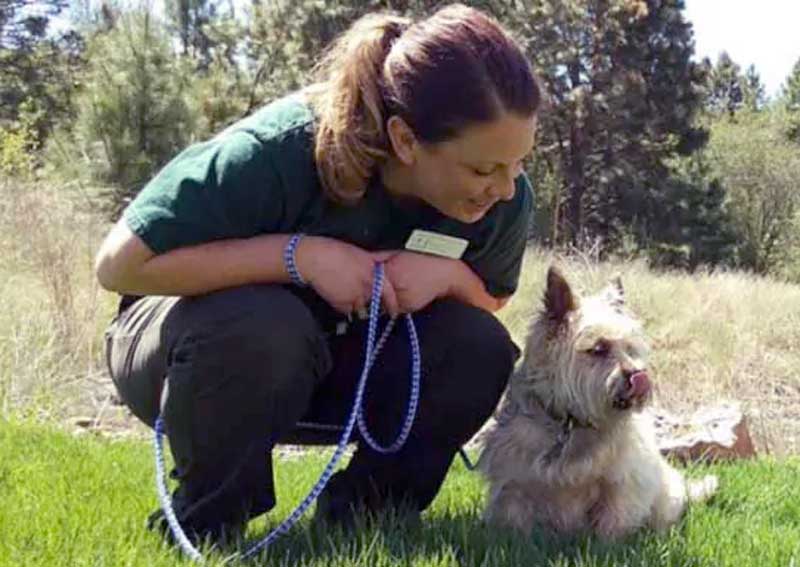 Carousel Slide 2: Dog veterinary care